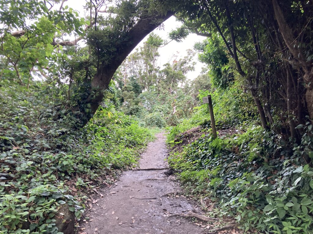 霊峰富士遥拝所へ行く道