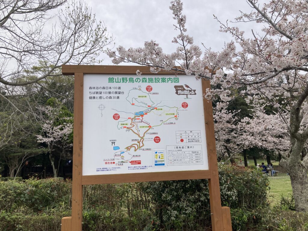 安房神社のとなりの野鳥の森案内図