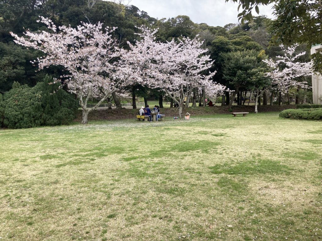 安房神社横の芝生の広場