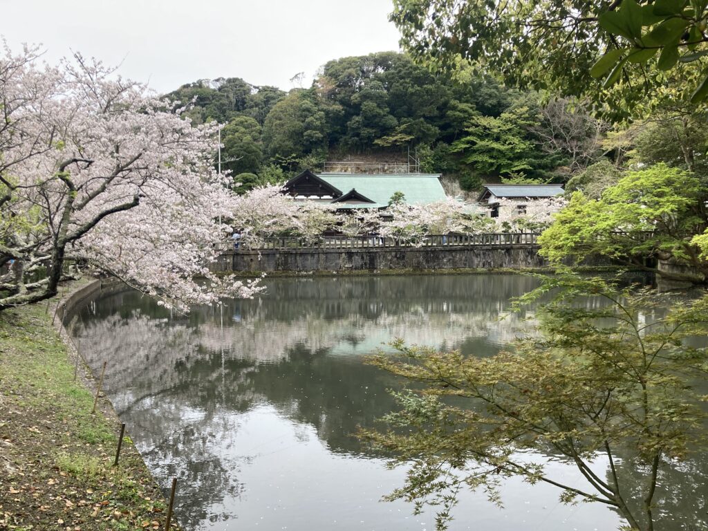 社務所前の池